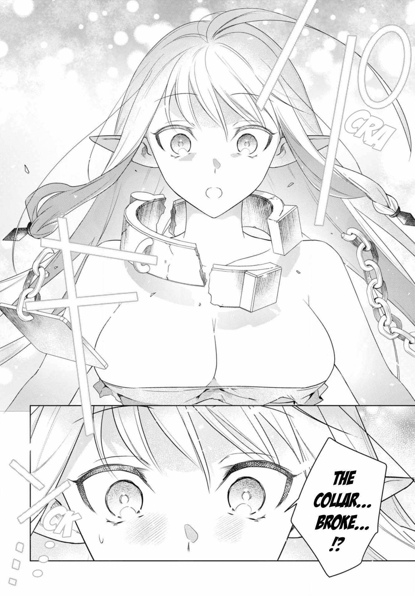 An S-class Adventurer, Banished as the Tank of the Party, Uses His "Slave Release" Skill to Build the Strongest Country in History! Chapter 2 - Page 8 in English