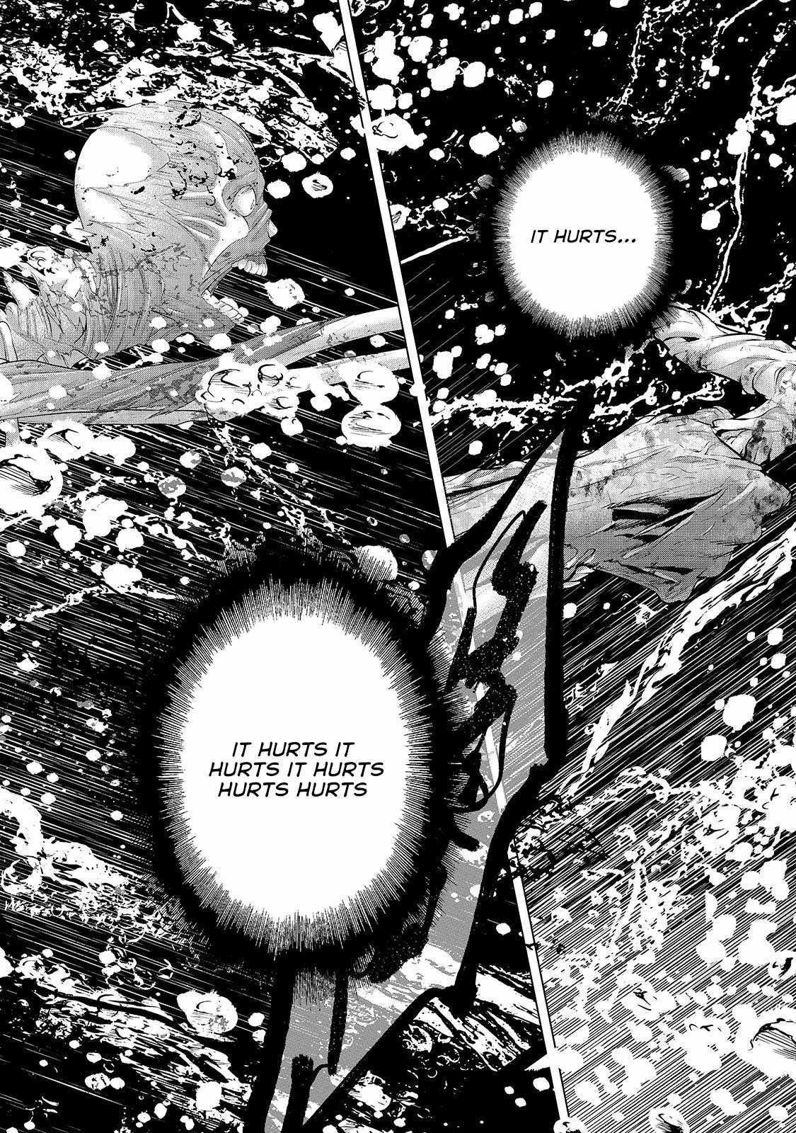 Saihate No Paladin Chapter 63.1 - Page 10 in English