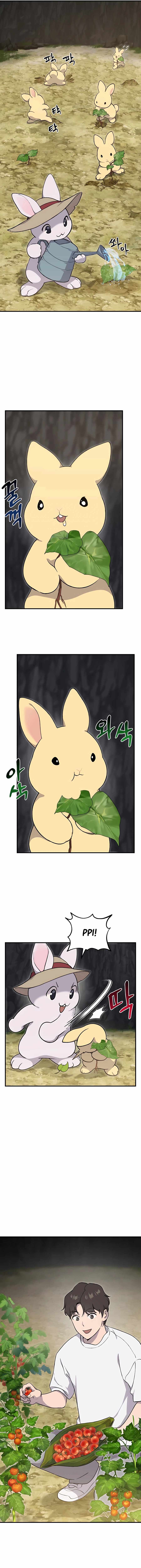 Solo Farming In The Tower Chapter 8 - Page 5 in English