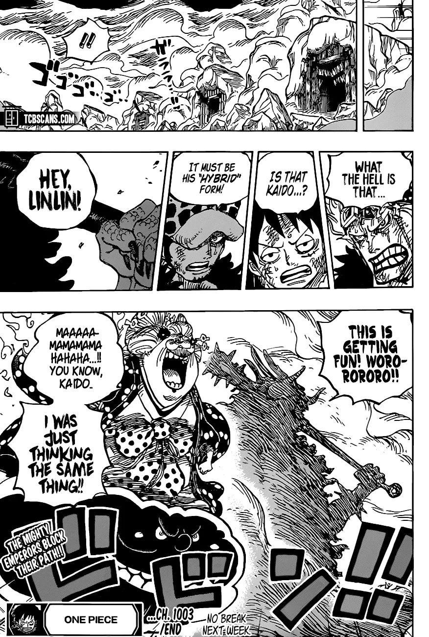 One Piece Chapter 1003 - Page 13 in English