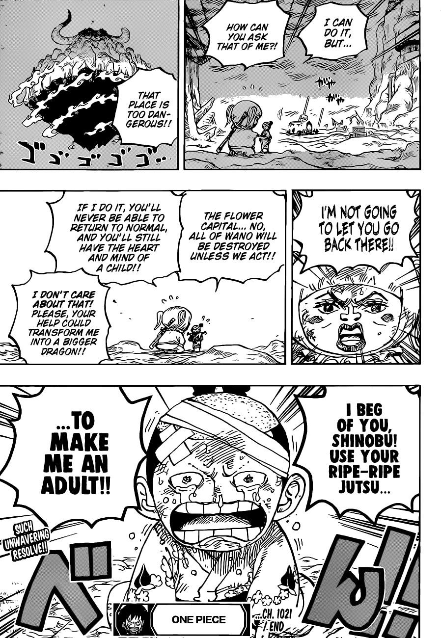 One Piece Chapter 1021 - Page 16 in English