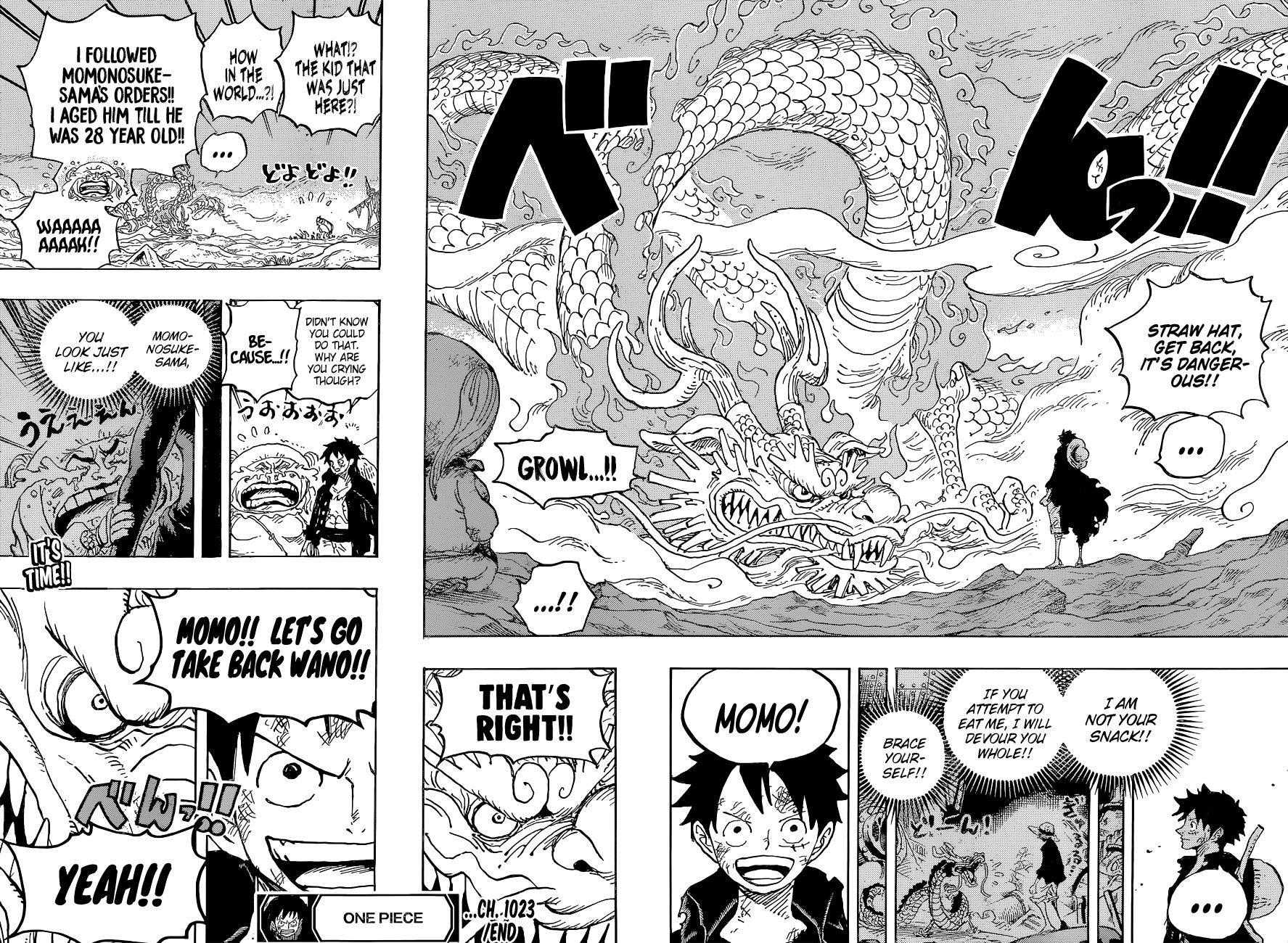 One Piece Chapter 1023 - Page 17 in English