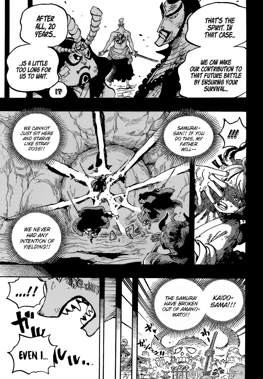 One Piece Chapter 1024 - Page 17 in English