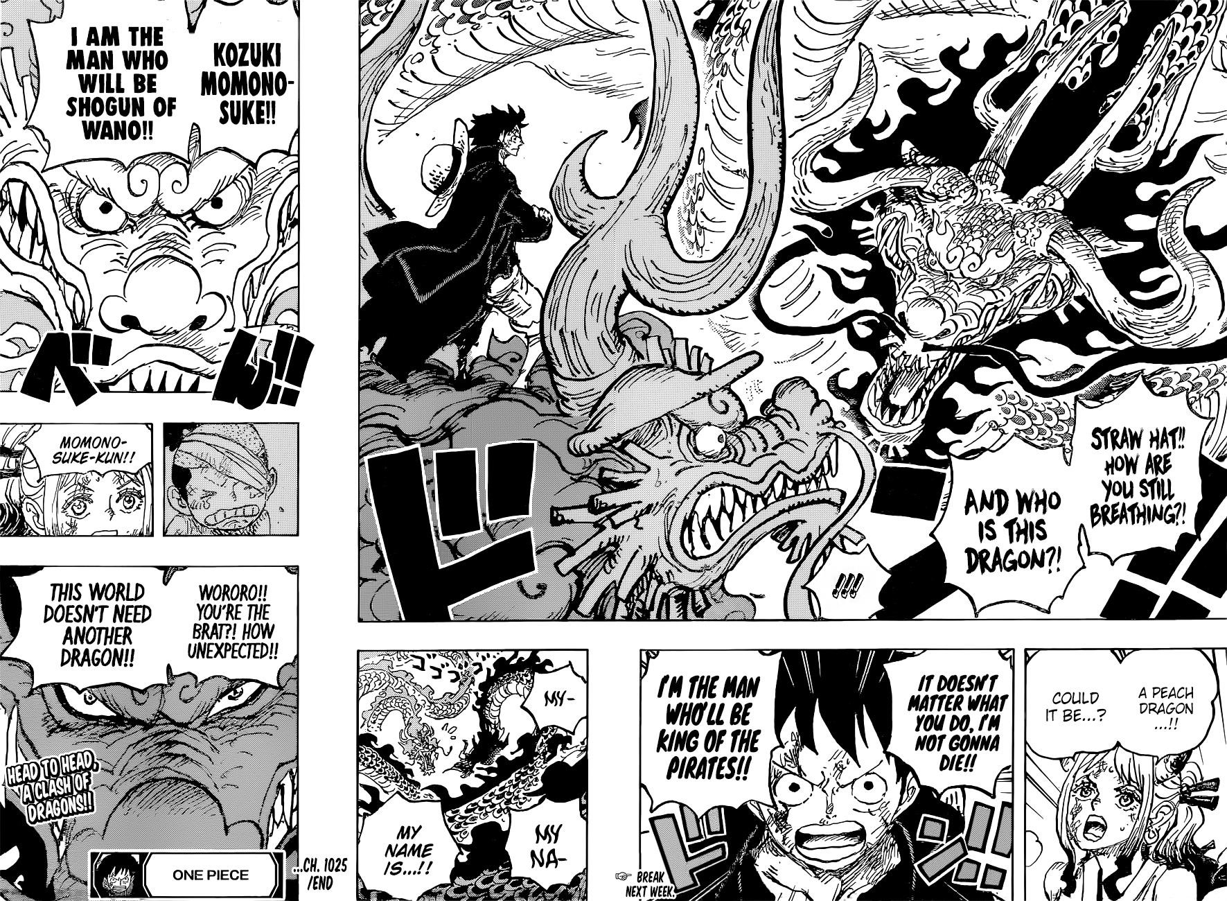 One Piece Chapter 1025 - Page 16 in English