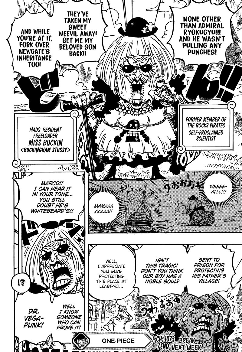 One Piece Chapter 1073 - Page 14 in English