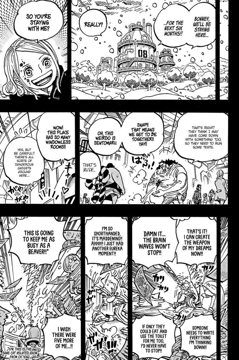 One Piece Chapter 1100 - Page 9 in English