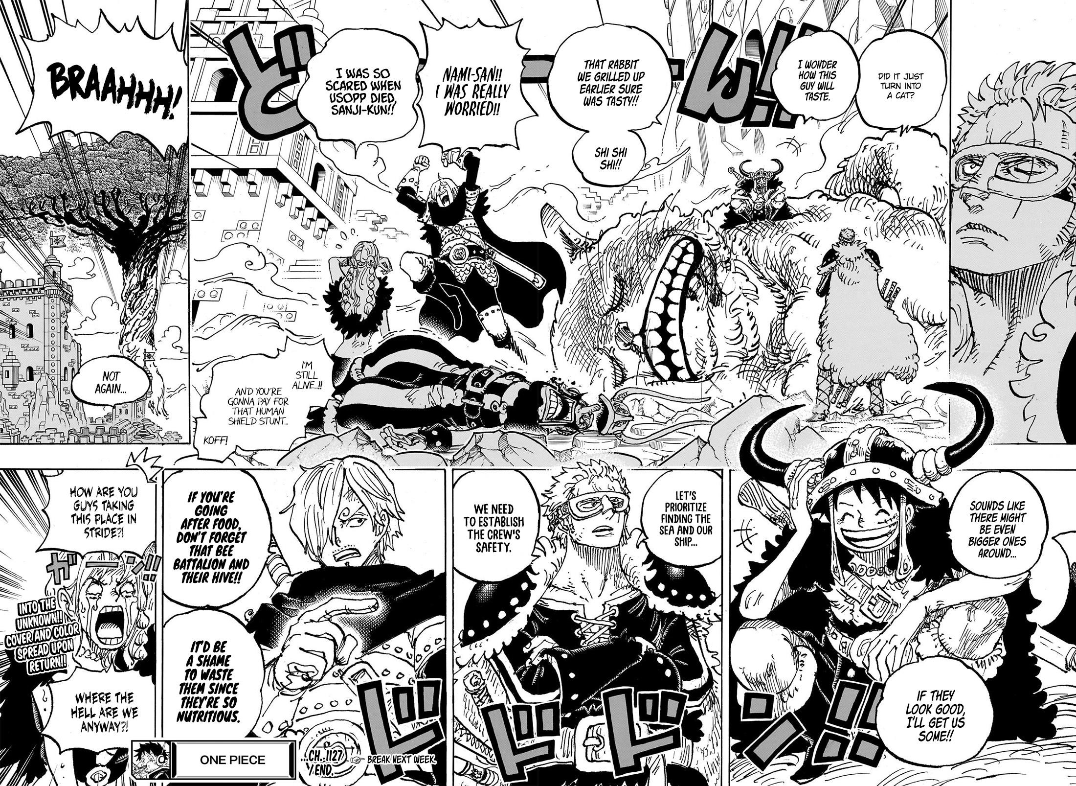 One Piece Chapter 1127 - Page 13 in English