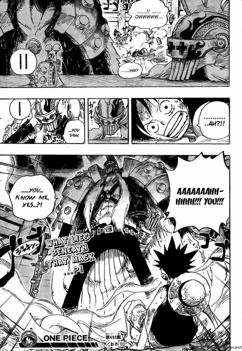 One Piece Chapter 493 - Page 19 in English