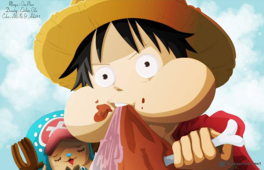 One Piece Chapter 655 - Page 20 in English
