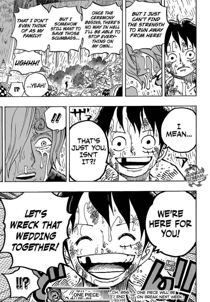 One Piece Chapter 856 - Page 17 in English