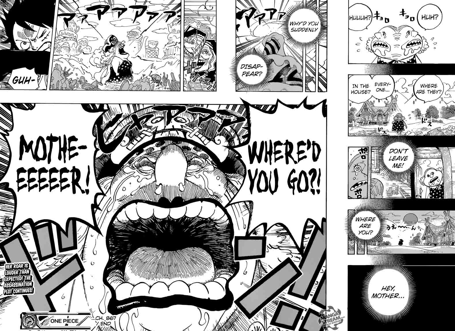 One Piece Chapter 867 - Page 14 in English