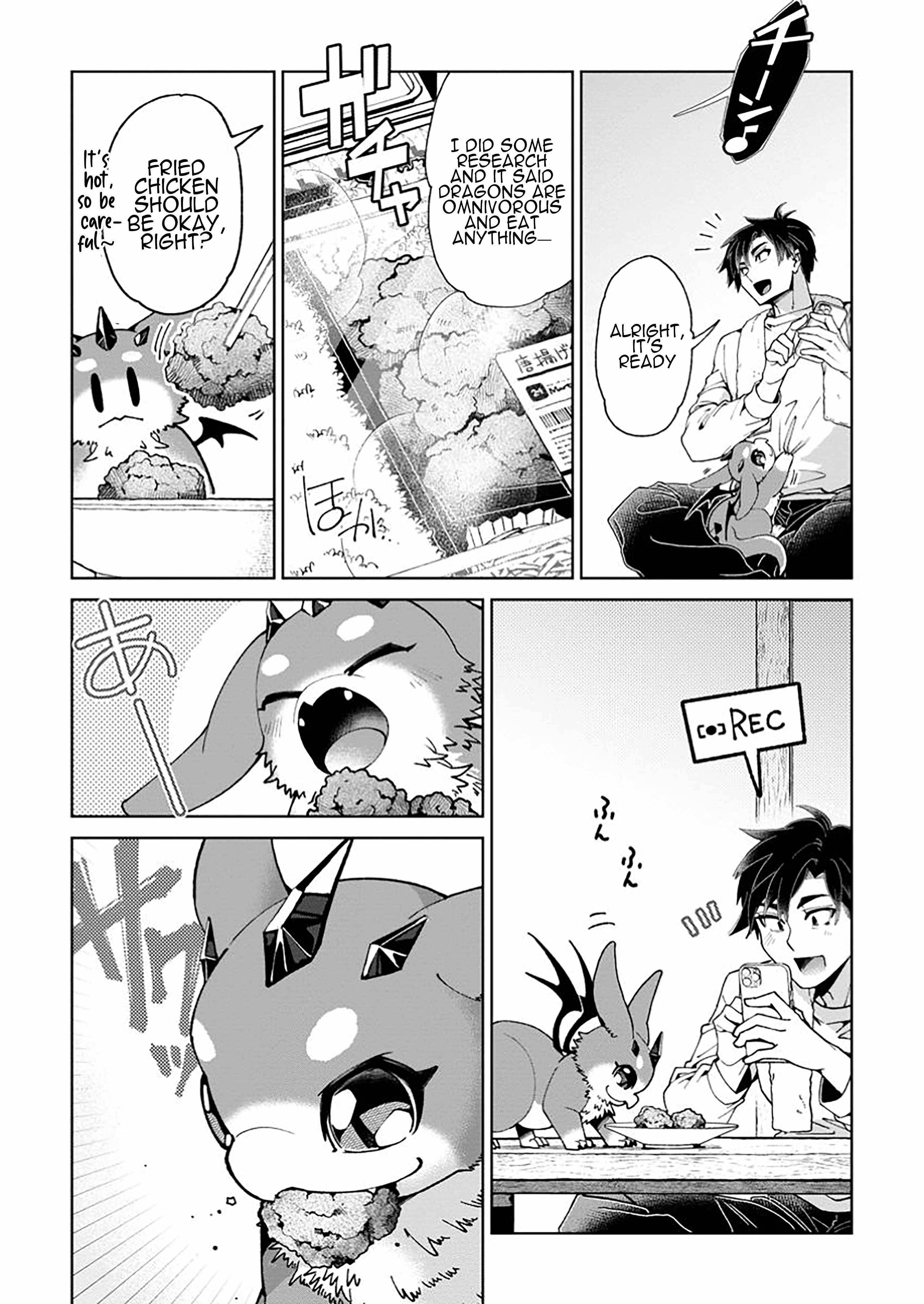 I’m an Overworked Corporate Slave, but After Being Embraced by a Dragon, I Started Streaming My Pet Life With a Tiny Dragon and Monsters on a Farm Chapter 1 - Page 20 in English