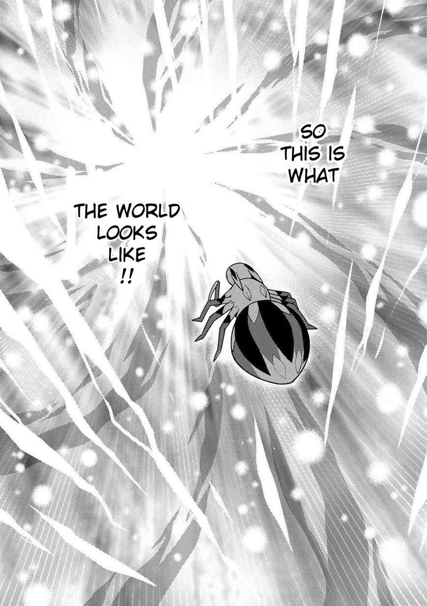 Kumo Desu Ga, Nani Ka? Chapter 19.2 - Page 3 in English