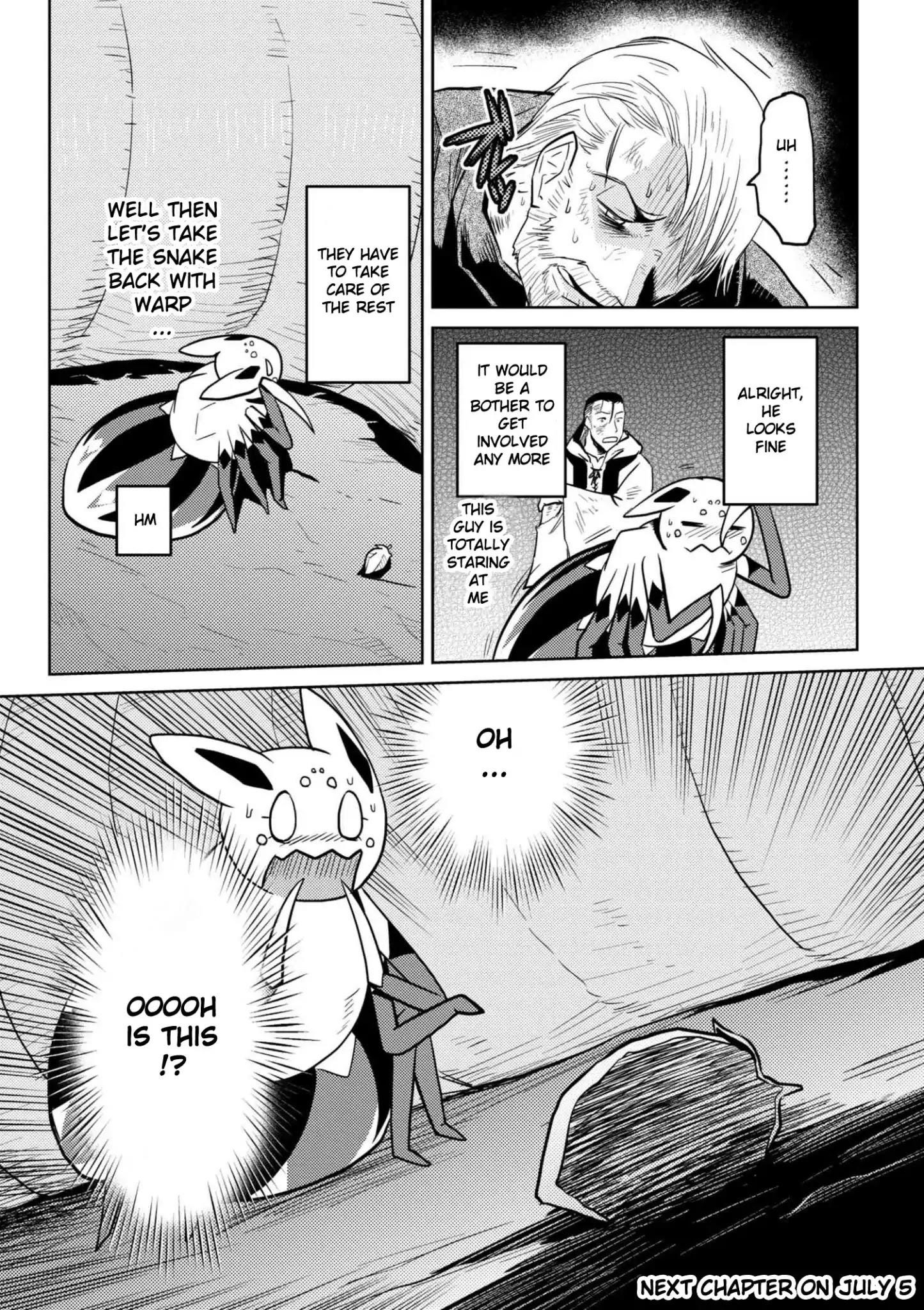 Kumo Desu Ga, Nani Ka? Chapter 28.2 - Page 17 in English