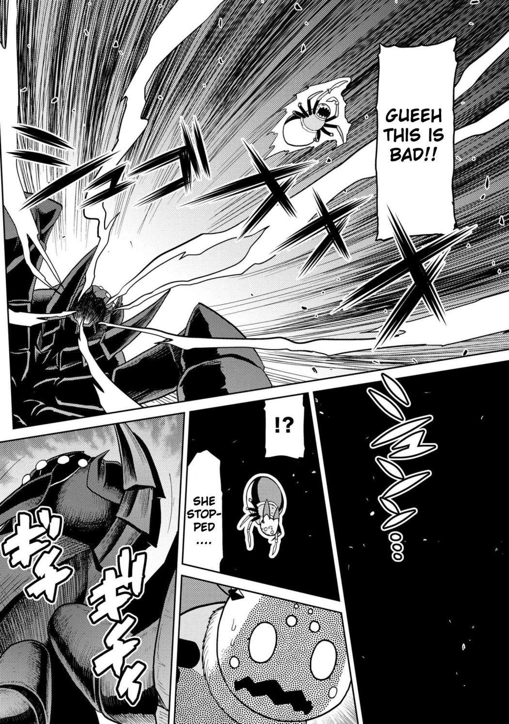 Kumo Desu Ga, Nani Ka? Chapter 46.1 - Page 12 in English
