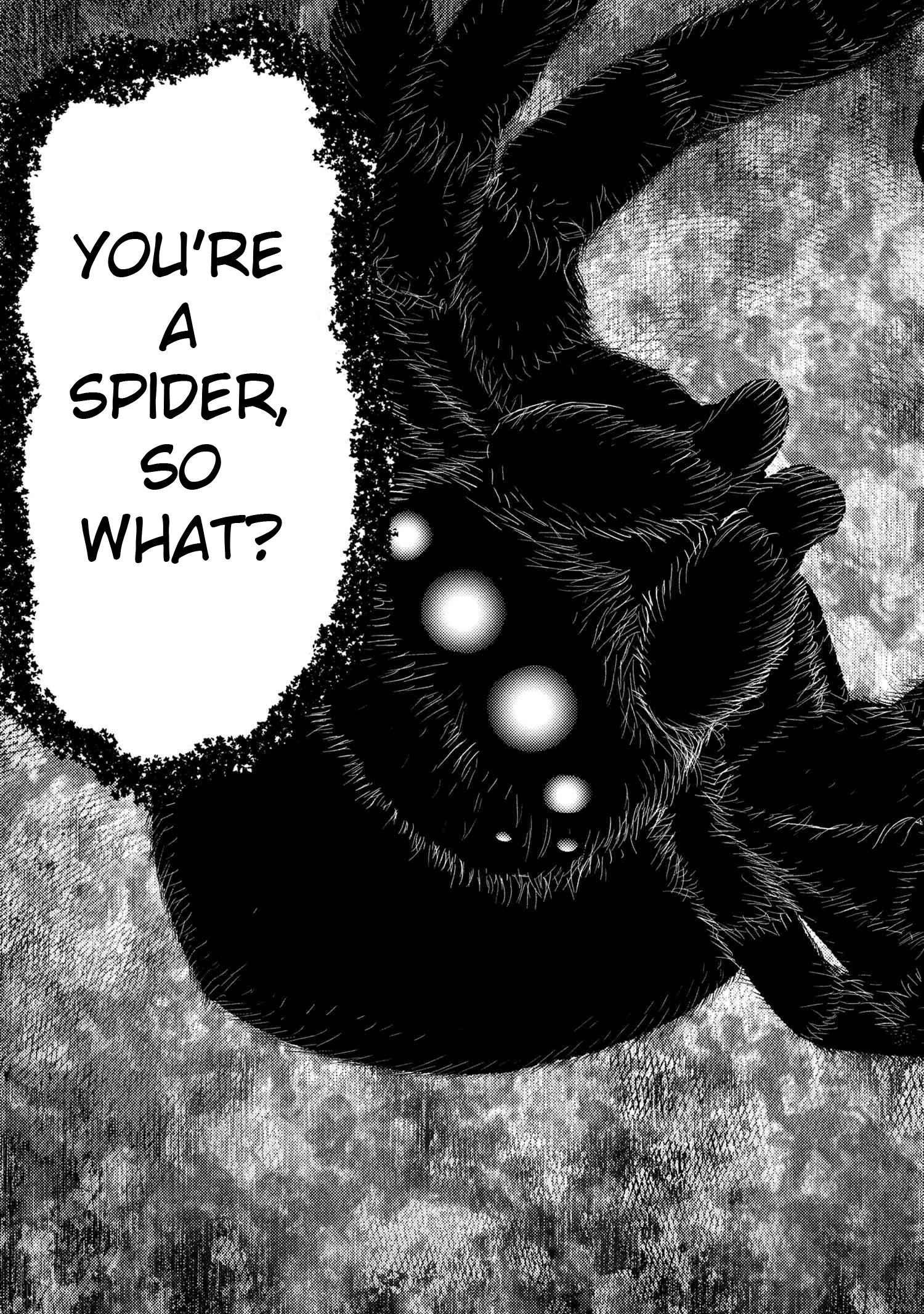 Kumo Desu Ga, Nani Ka? Chapter 75.2 - Page 13 in English