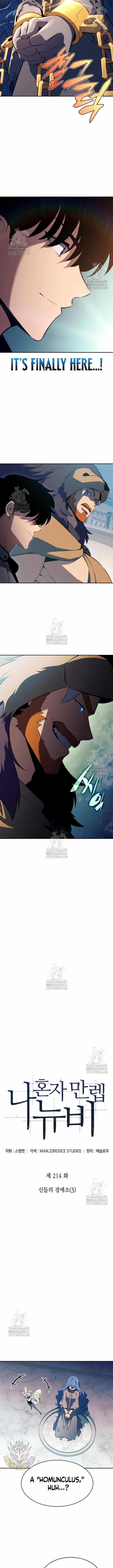 Solo Max-Level Newbie Chapter 214 - Page 3 in English