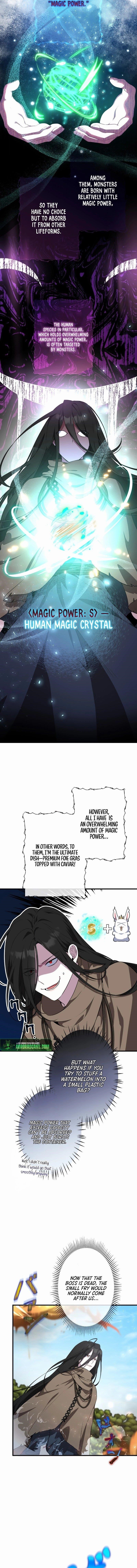 The Fake Master Who Accidentally Became the Strongest Chapter 5 - Page 5 in English