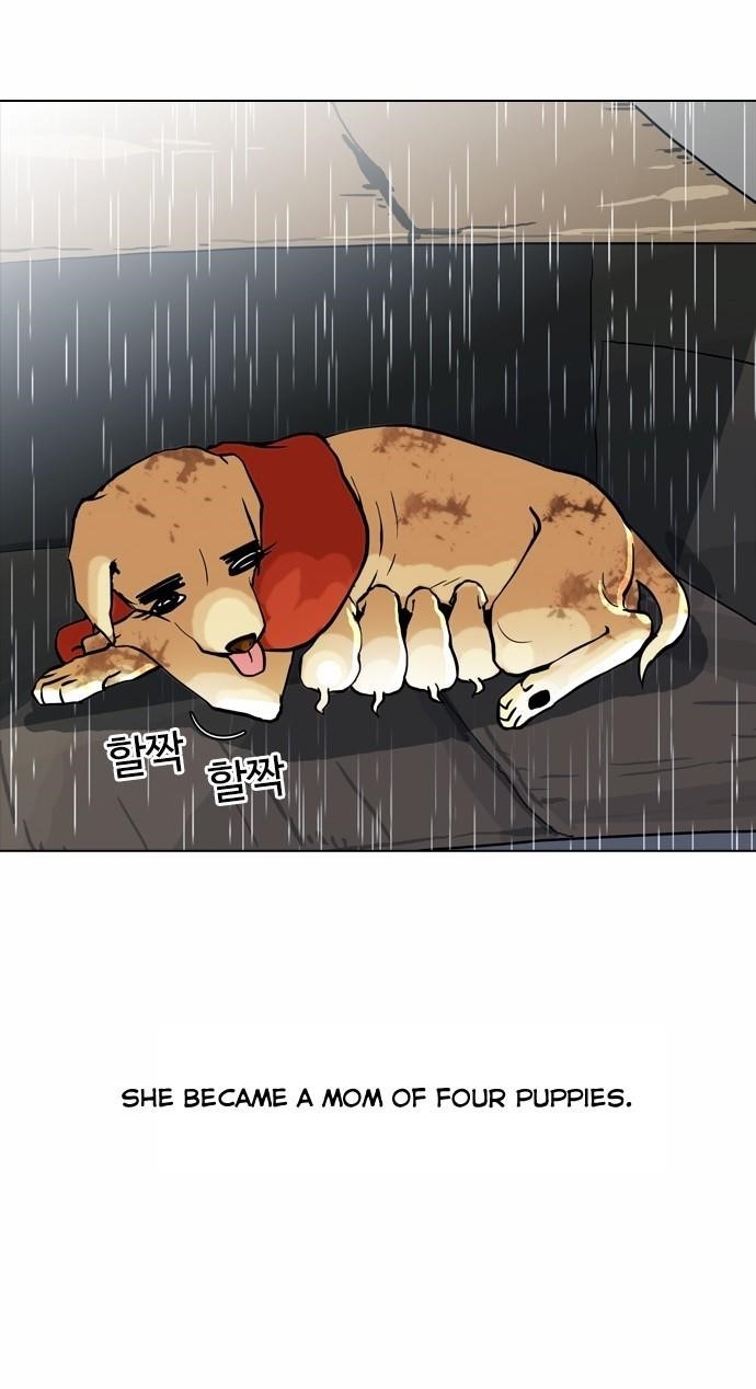 Lookism Chapter 61 - Page 10 in English