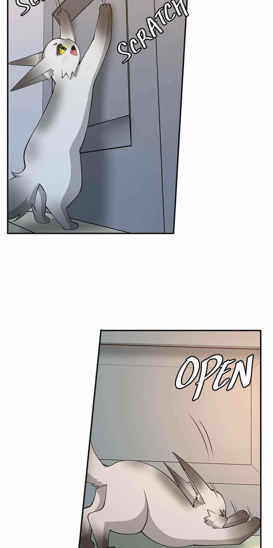 The Beginning After the End Chapter 133 - Page 41 in English