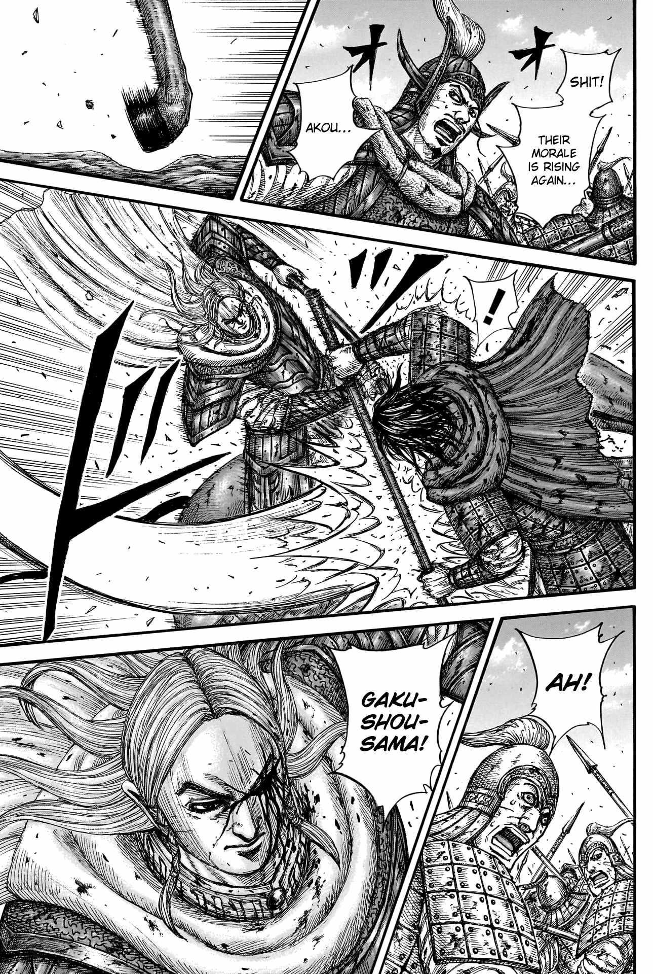 Kingdom Chapter 790 - Page 14 in English