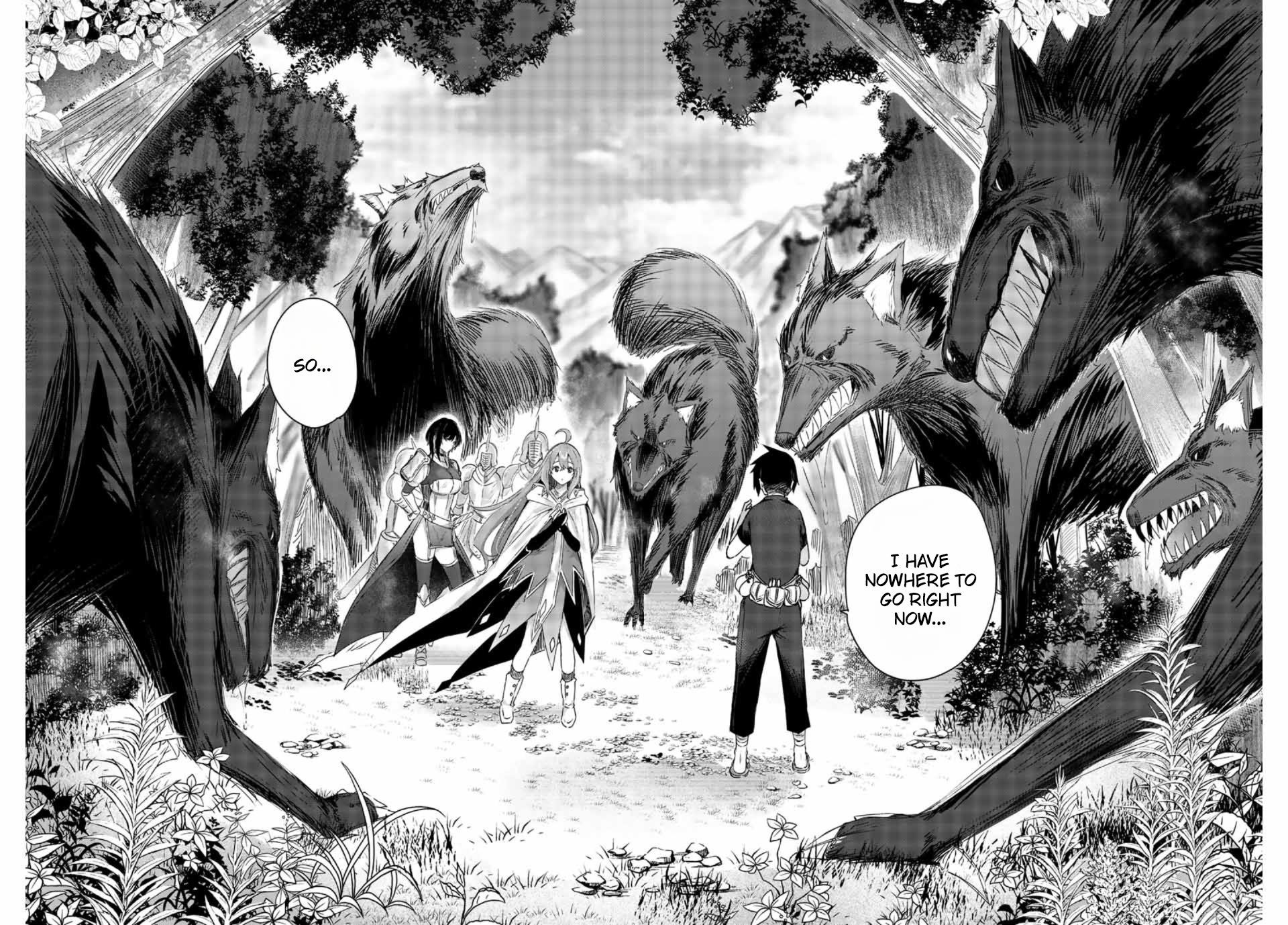 The Healer Ditches the Boonies to Become an S-Rank Adventurer: The Boy from the Hero’s Village Doesn’t Know His Cheat Medicine Is Unrivaled Chapter 1 - Page 37 in English