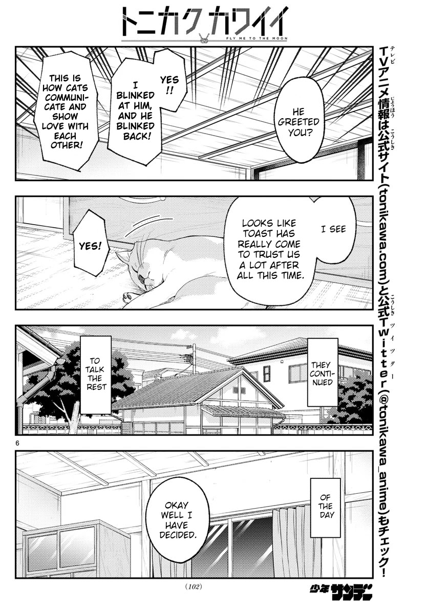 Tonikaku Cawaii Chapter 172 - Page 6 in English