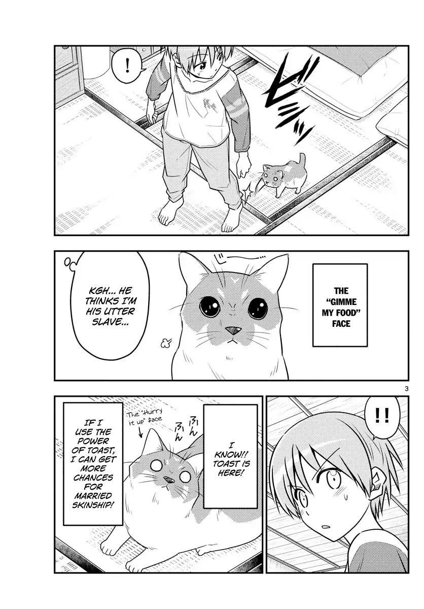 Tonikaku Cawaii Chapter 53 - Page 3 in English