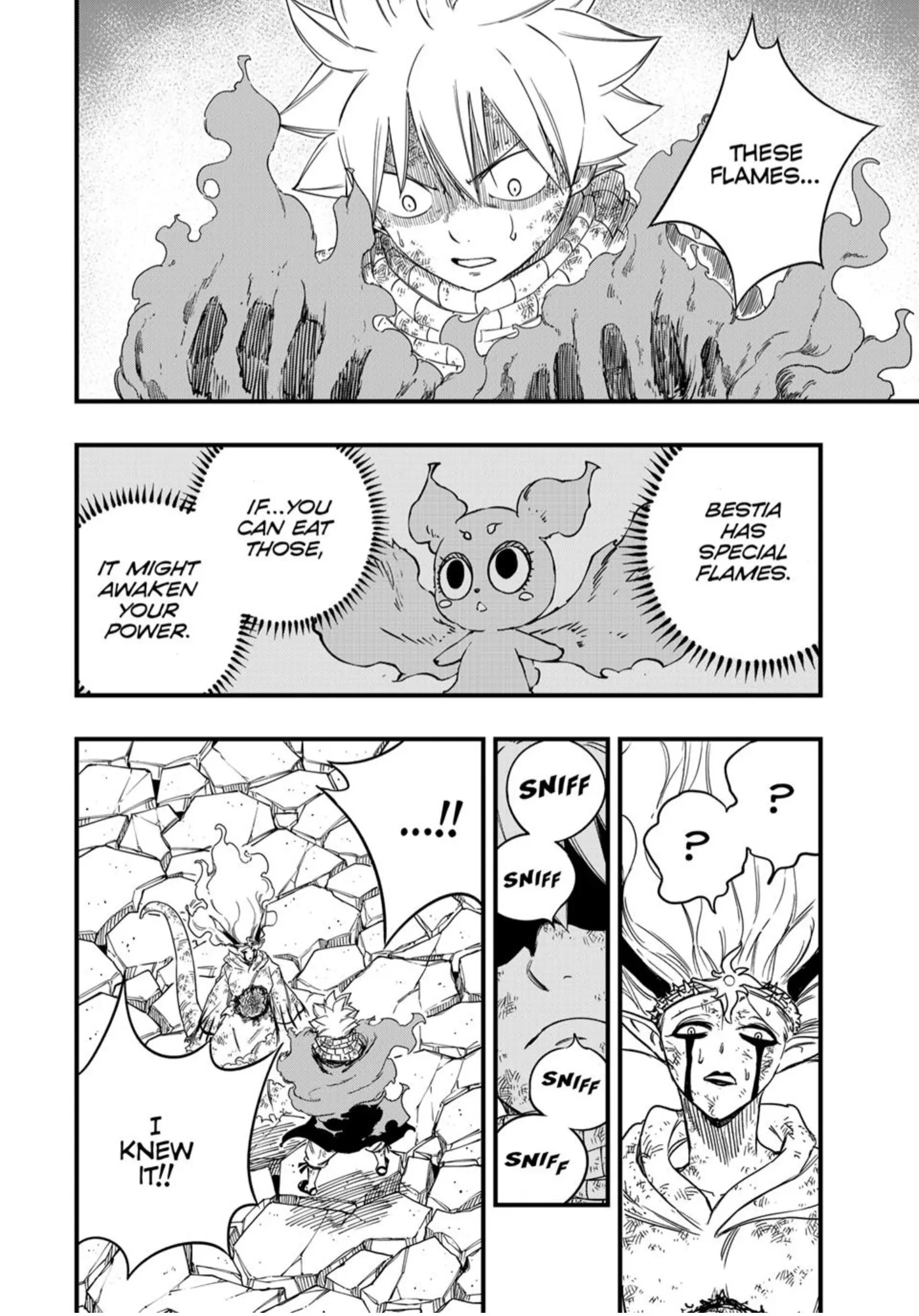 FAIRY TAIL 100 YEARS QUEST Chapter 197 - Page 14 in English