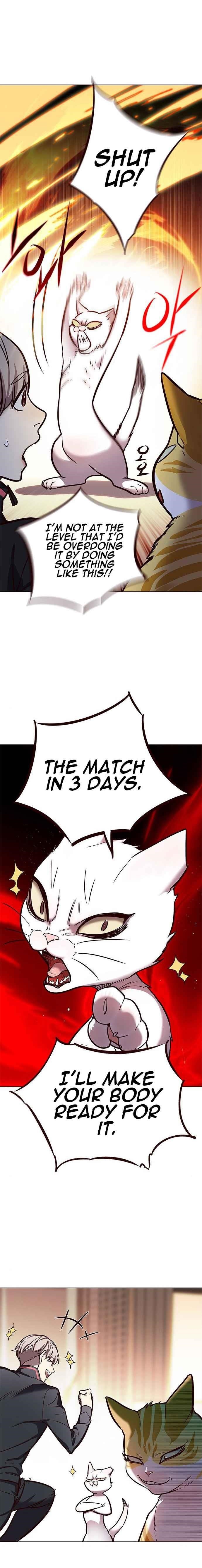 Eleceed Chapter 156 - Page 8 in English