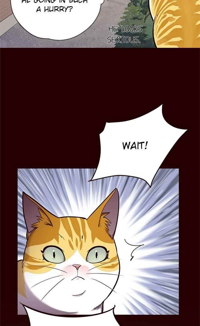 Eleceed Chapter 52 - Page 40 in English