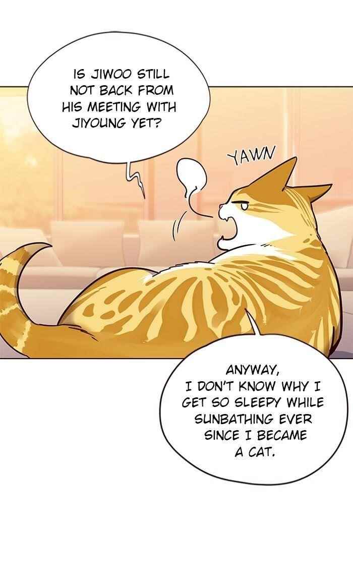 Eleceed Chapter 56 - Page 20 in English