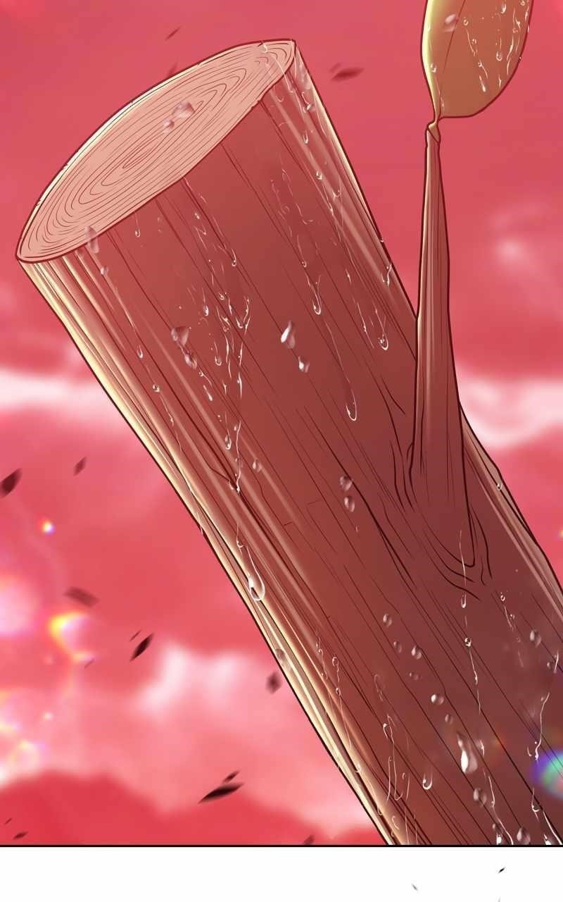 99 Reinforced Wood Stick Chapter 80 - Page 243 in English