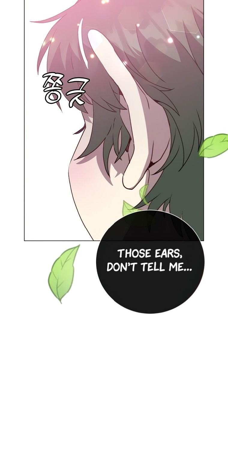 The Max Level Hero has Returned! Chapter 135 - Page 58 in English