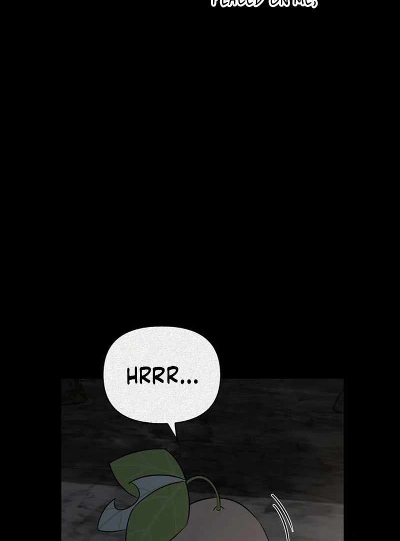 S-Class Hunter Heals with Monsters Chapter 24 - Page 116 in English