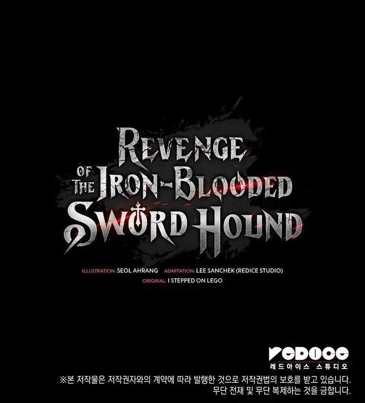 Revenge of the Iron-Blooded Sword Hound Chapter 166 - Page 20 in English
