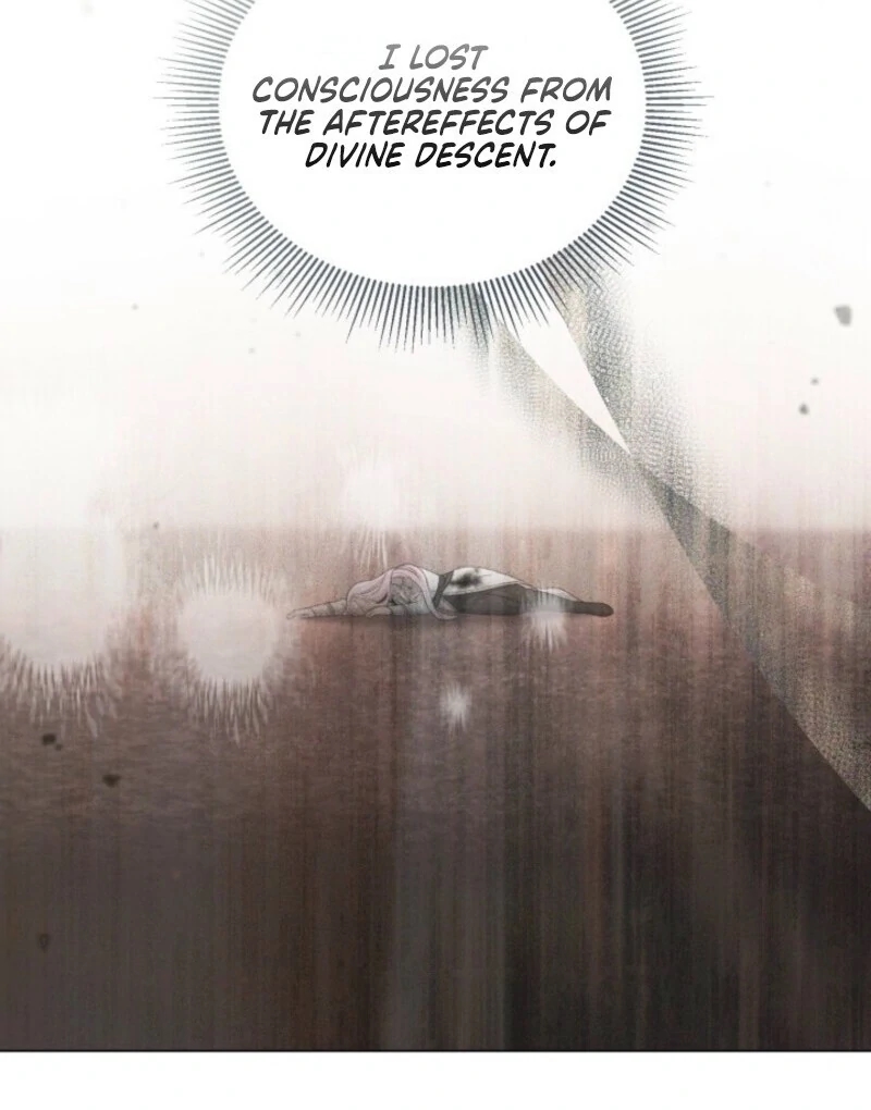 A Transmigrator’s Privilege Chapter 106 - Page 12 in English