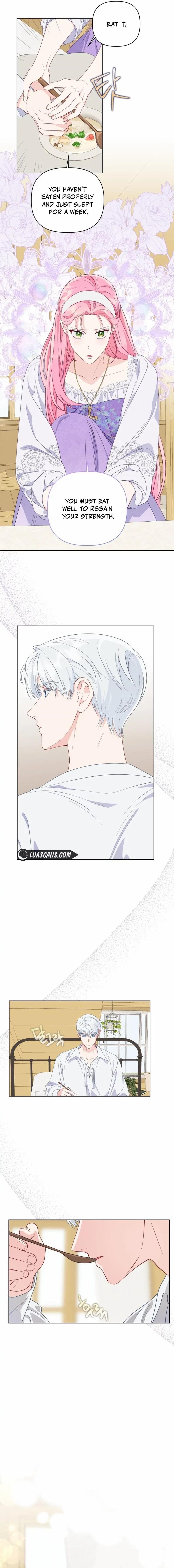 A Transmigrator’s Privilege Chapter 73 - Page 6 in English