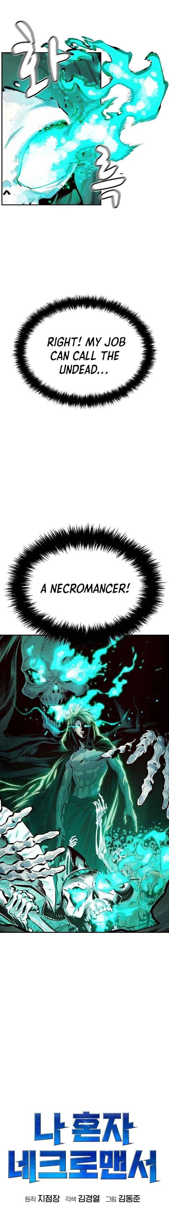 The Lone Necromancer Chapter 1 - Page 29 in English