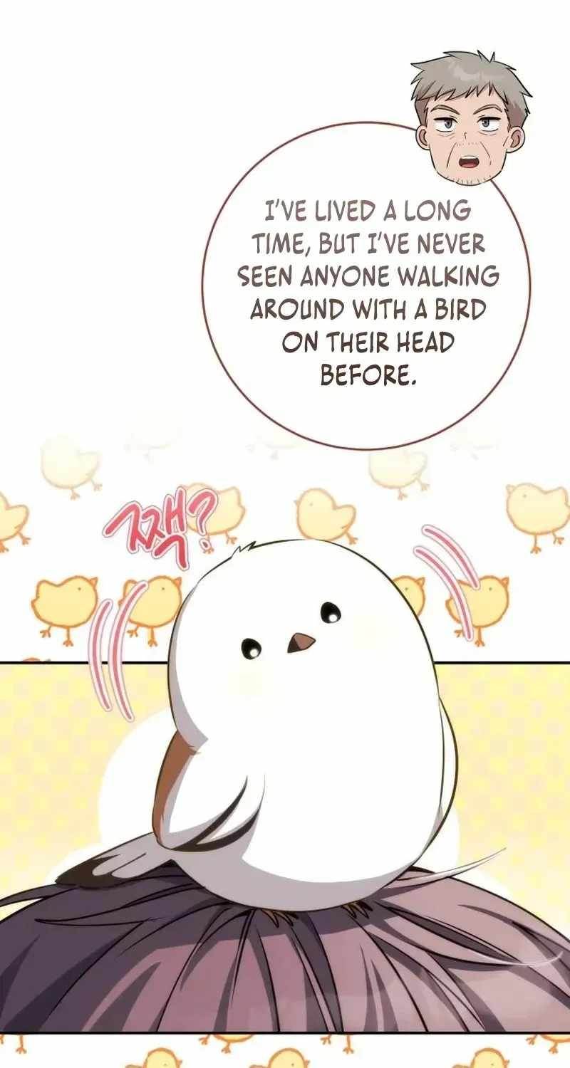Devely’s Healing Time Chapter 5 - Page 8 in English