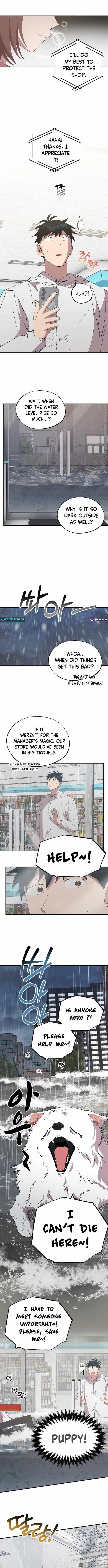 Magical Realm Shopkeeper Chapter 69 - Page 9 in English