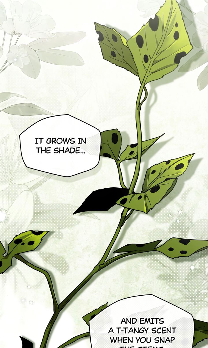 Under the Oak Tree Chapter 117 - Page 7 in English