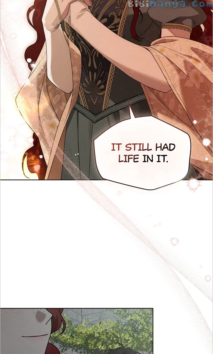Under the Oak Tree Chapter 78 - Page 41 in English