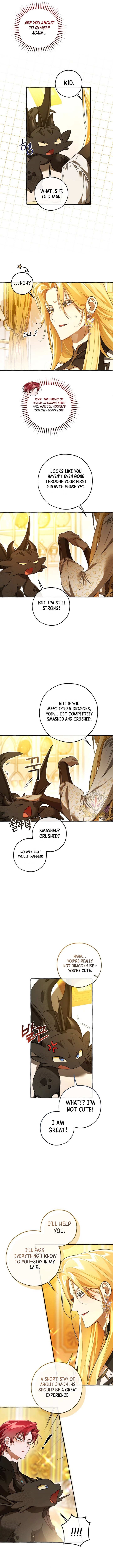 Trash of the Count’s Family Chapter 145 - Page 11 in English