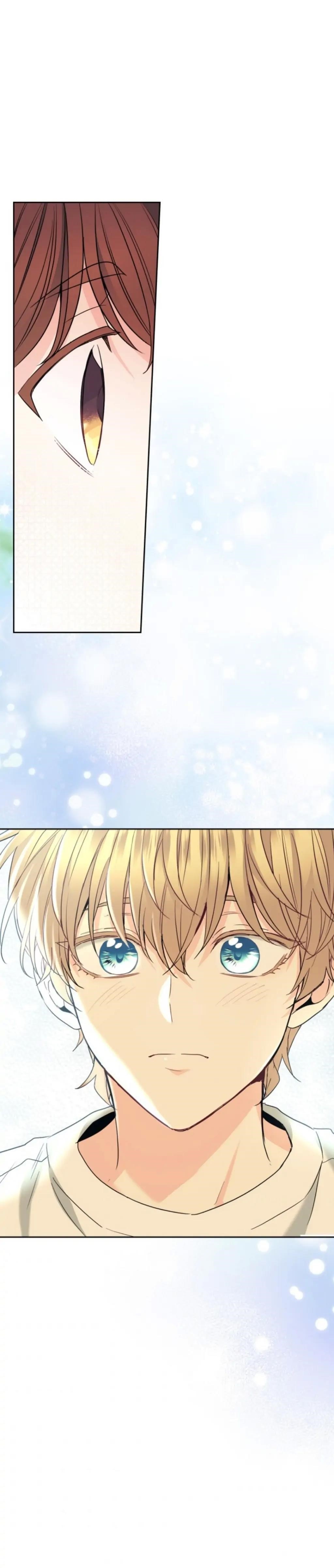 Inso’s Law Chapter 156 - Page 31 in English