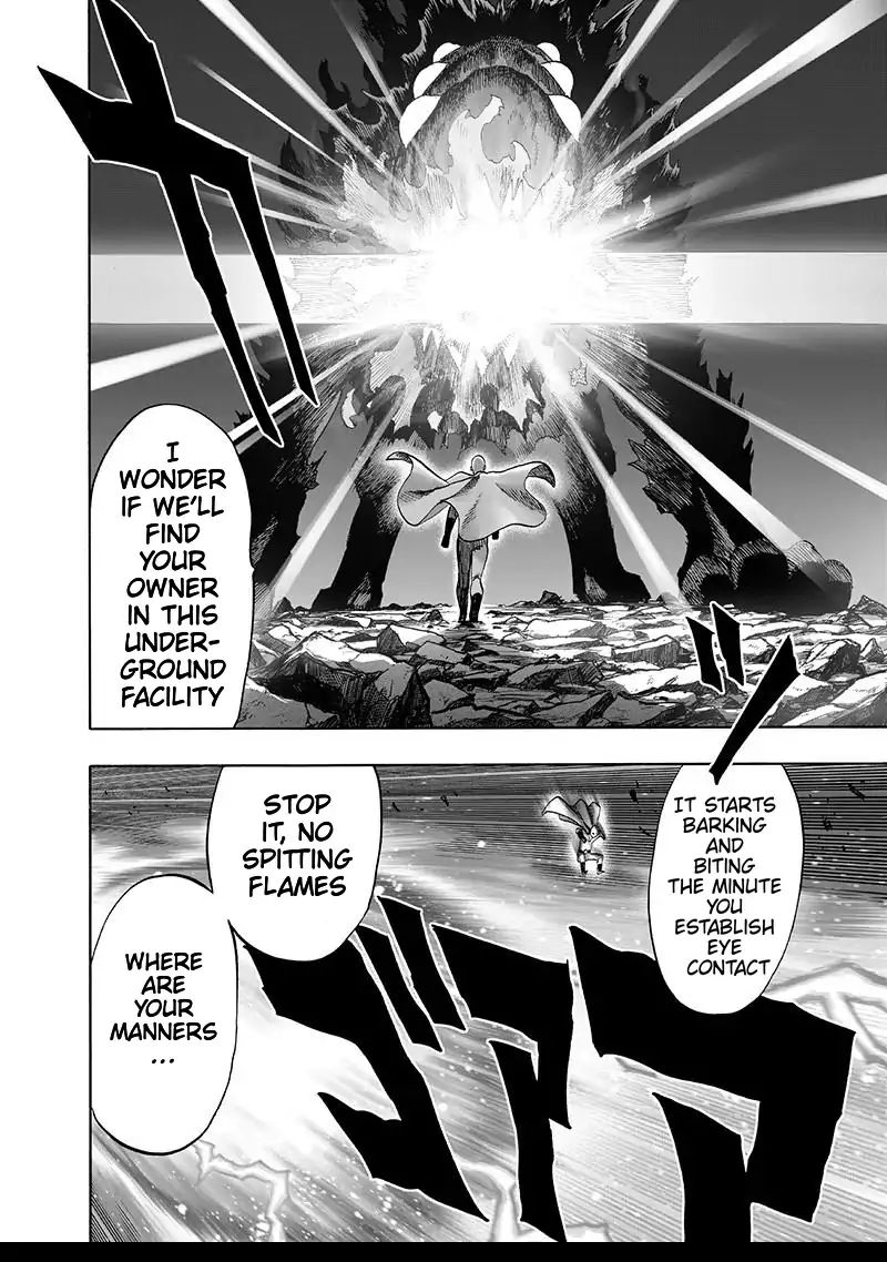 One Punch Man, onepunchman Chapter 157 - Page 17 in English