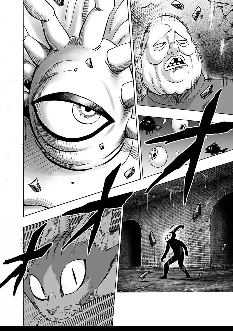 One Punch Man, onepunchman Chapter 157 - Page 23 in English