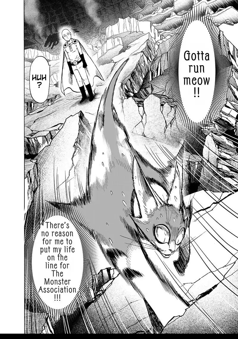 One Punch Man, onepunchman Chapter 157 - Page 29 in English