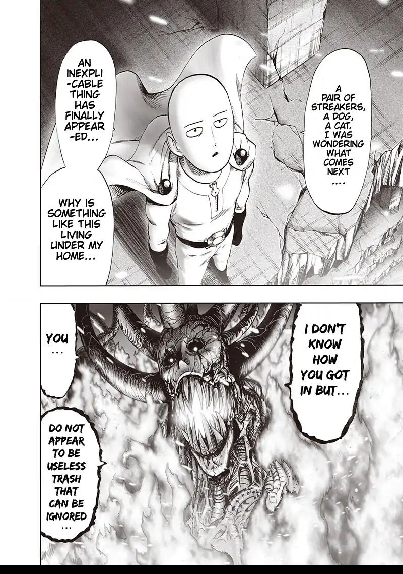 One Punch Man, onepunchman Chapter 158 - Page 19 in English