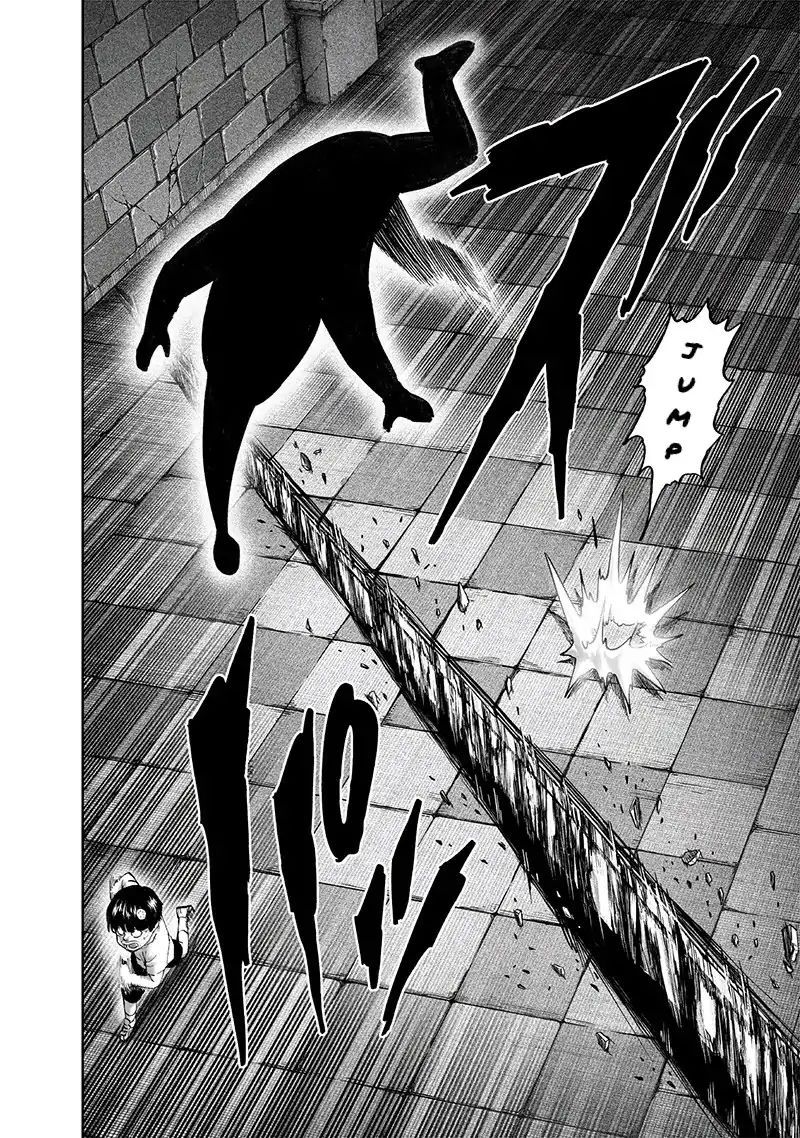 One Punch Man, onepunchman Chapter 161 - Page 25 in English